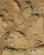 火星上发现疑似外星人“骸骨”