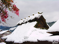 鲁迅日记：新年的雪