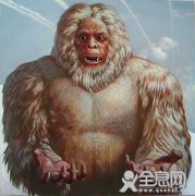 美国科学家称俄雪人系灵长类动物与外星人后代