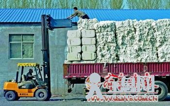 记者暗访再生棉加工点：破布旧絮制棉运进纺织厂