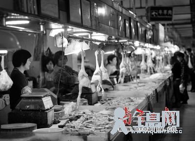 广东存在出现H7N9病原风险专家:勿滥服板蓝根