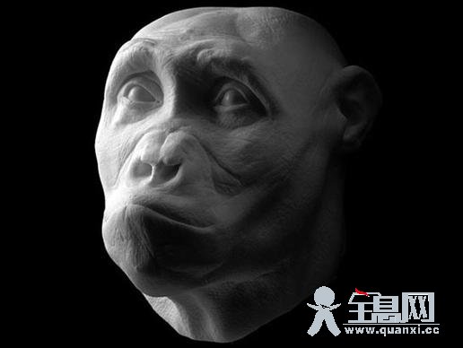 storymaker-early-human-ancestors-faces0-515x388